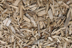 biomass boilers Latton